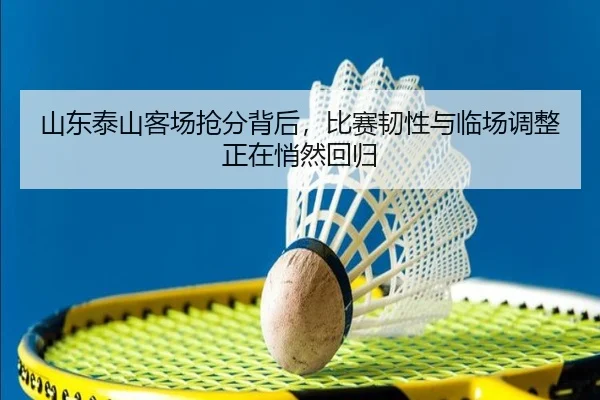 山东泰山客场抢分背后，比赛韧性与临场调整正在悄然回归（NBA）